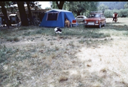 zeltundstorch019jugo