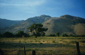 zum Sequoia Nationalpark