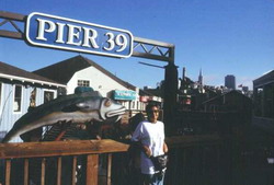 Pier 39
